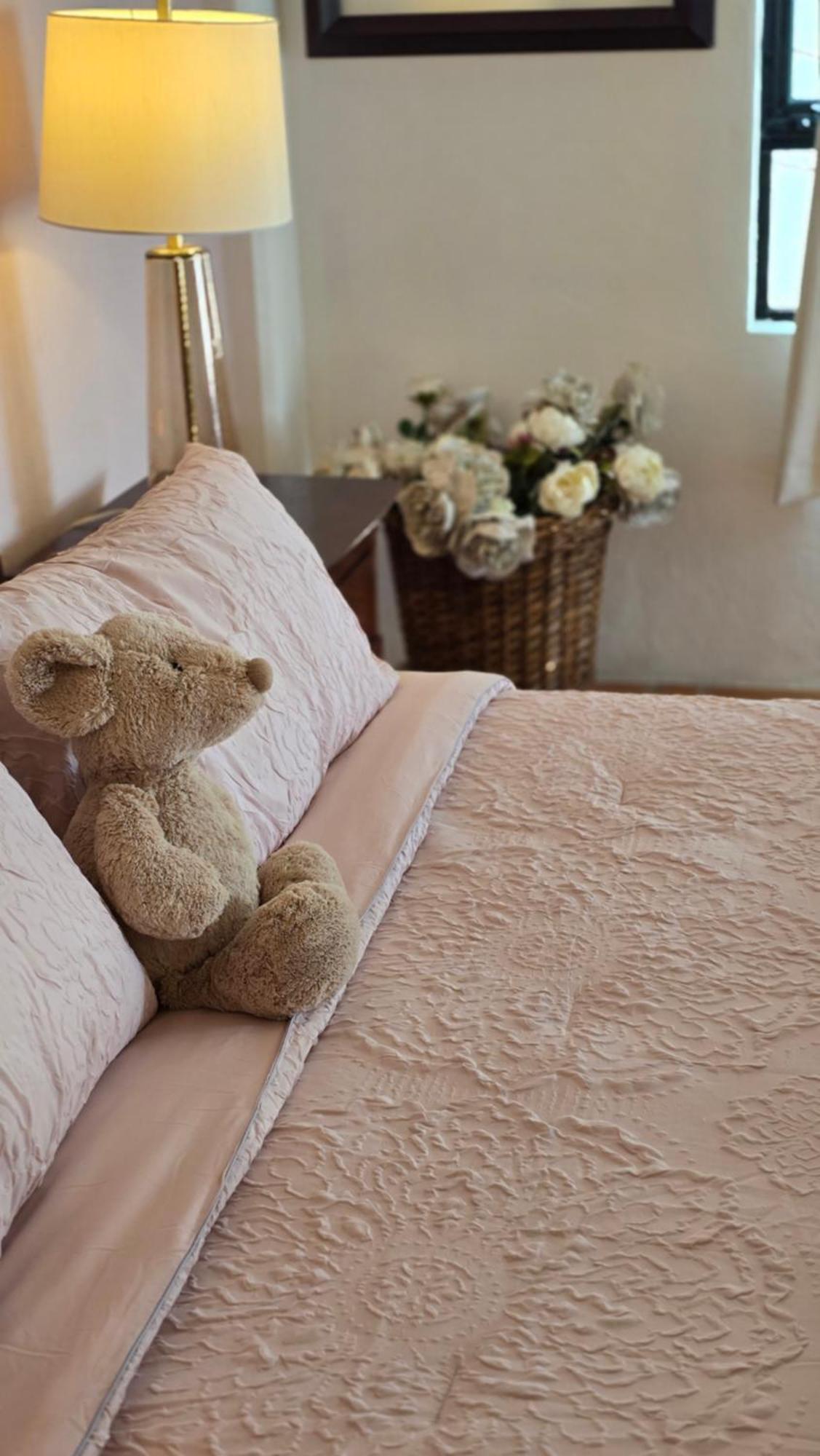 Tres Fuentes Dickinson Hotel Boutique San Miguel de Allende Extérieur photo